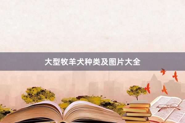 大型牧羊犬种类及图片大全